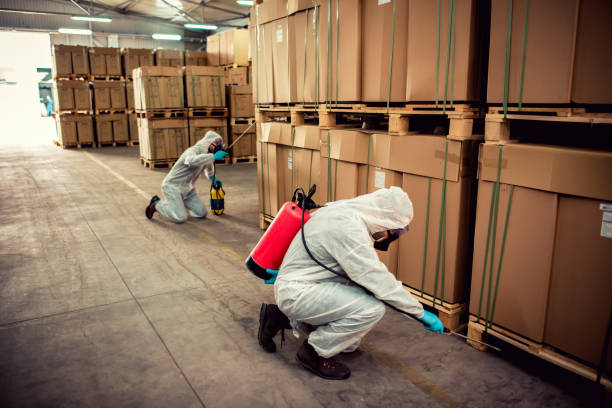 Best Residential Pest Control  in Waite Park, MN