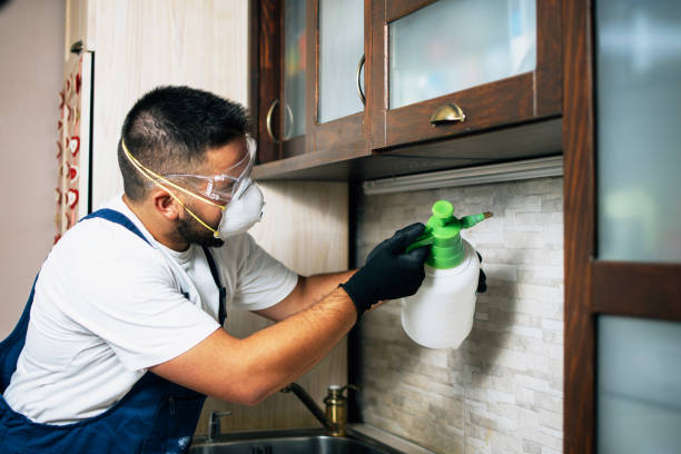 Best Emergency Pest Control  in Waite Park, MN