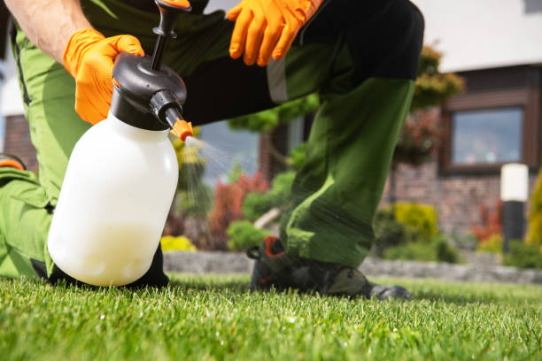 Best Pest Removal Services  in Waite Park, MN