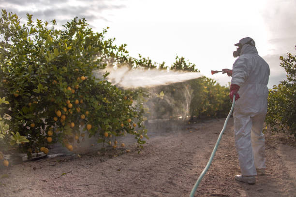Best Best Pest Control Companies  in Waite Park, MN