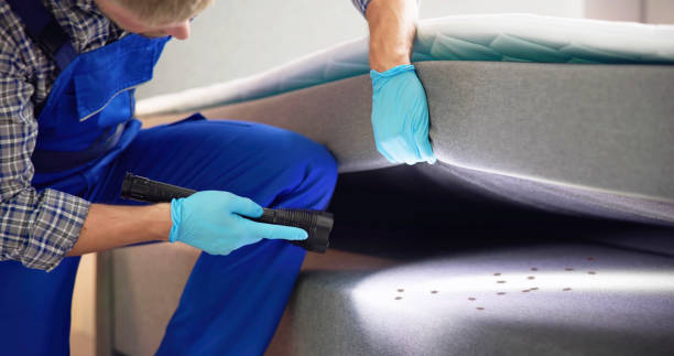 Best Exterminator Services  in Waite Park, MN